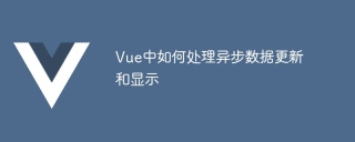 Vue中如何處理非同步資料更新和顯示