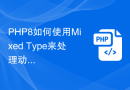 PHP8如何使用Mixed Type来处理动态类型变量？