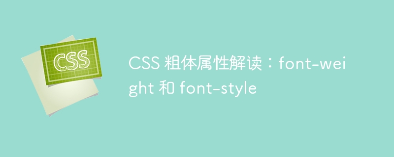 css 粗体属性解读：font-weight 和 font-style