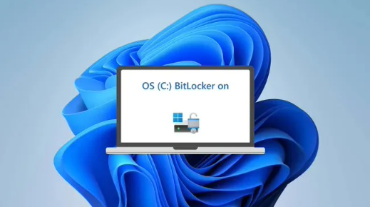 Windows 11 BitLocker问题暴露：SSD性能受影响