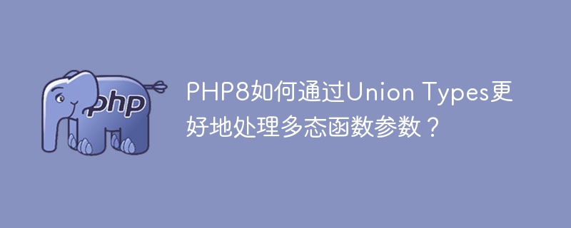 PHP8如何通过Union Types更好地处理多态函数参数？