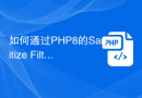 如何通过PHP8的Sanitize Filters来过滤用户输入？