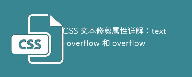 CSS 文本修剪属性详解：text-overflow 和 overflow