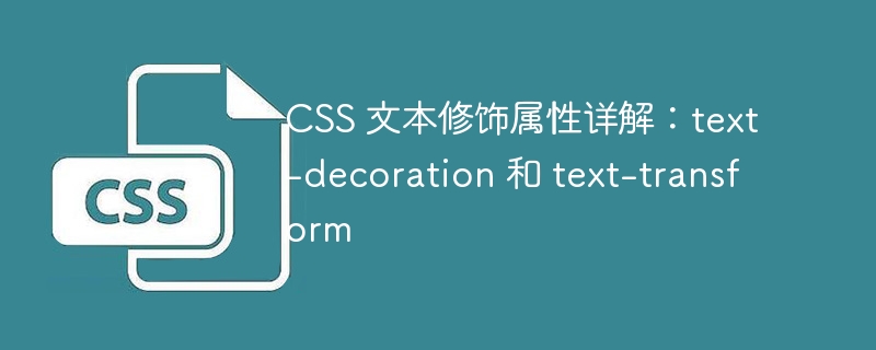 CSS 文本修饰属性详解：text-decoration 和 text-transform