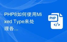 PHP8如何使用Mixed Type来处理各种不同类型的数据？