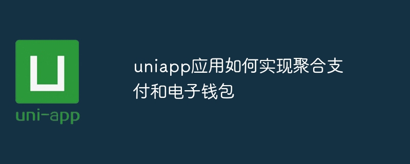 uniapp應用程式如何實現聚合支付和電子錢包