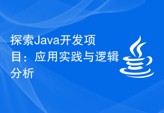探索Java开发项目：应用实践与逻辑分析