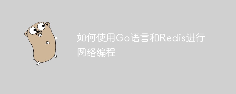 如何使用Go语言和Redis进行网络编程