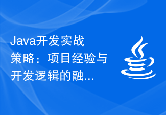 Java开发实战策略：项目经验与开发逻辑的融合