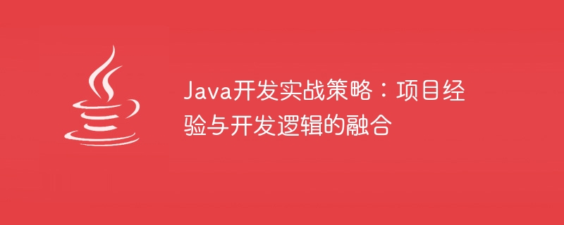 Java开发实战策略：项目经验与开发逻辑的融合