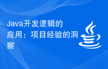 Java开发逻辑的应用：项目经验的洞察
