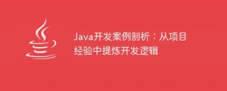 java开发案例剖析:从项目经验中提炼开发逻辑