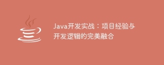 java开发实战：项目经验与开发逻辑的完美融合