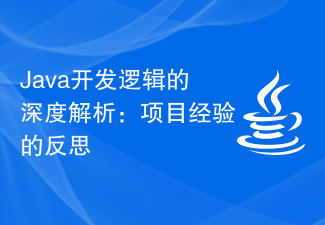 Java开发逻辑的深度解析：项目经验的反思