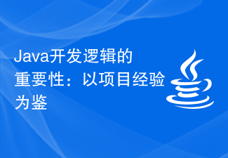 Java开发逻辑的重要性：以项目经验为鉴