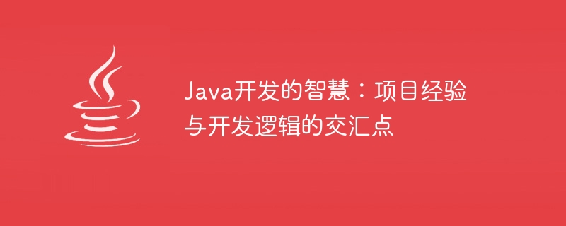 Java 개발의 지혜: 프로젝트 경험과 개발 로직의 교차점