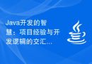 Java开发的智慧：项目经验与开发逻辑的交汇点