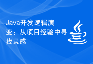 Java开发逻辑演变：从项目经验中寻找灵感