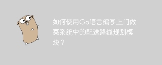 如何使用go语言编写上门做菜系统中的配送路线规划模块?