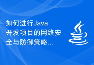 如何进行Java开发项目的网络安全与防御策略