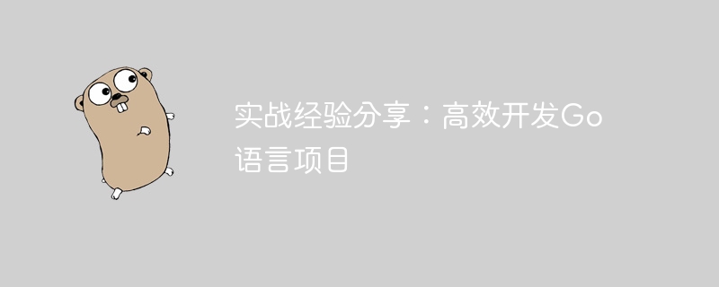 実践的な経験の共有: Go 言語プロジェクトの効率的な開発