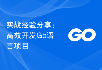 实战经验分享：高效开发Go语言项目