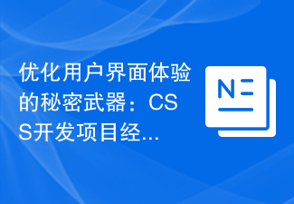 優化使用者介面體驗的秘密武器：CSS開發專案經驗大揭秘