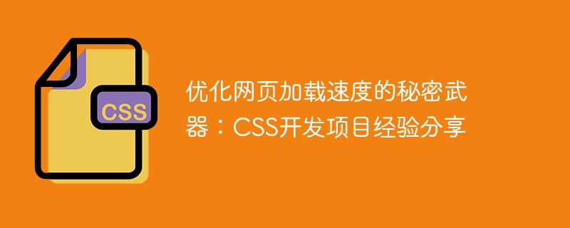 优化网页加载速度的秘密武器：CSS开发项目经验分享