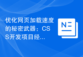 優化網頁載入速度的秘密武器：CSS開發專案經驗分享