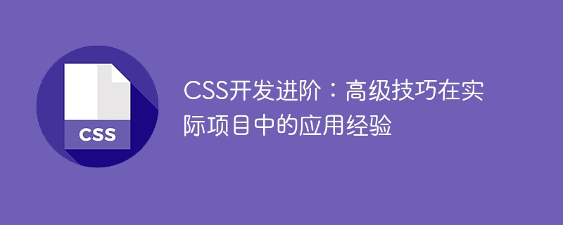 고급 CSS 개발 : 고급 기술을 실제 프로젝트에 적용한 경험