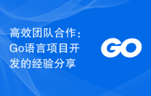 高效团队合作：Go语言项目开发的经验分享