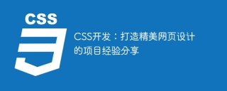 CSS 開発: 美しい Web デザインを作成するプロジェクトの経験を共有する