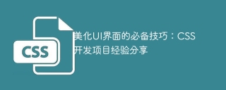 美化UI界面的必备技巧:CSS开发项目经验分享