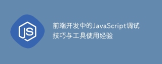 前端开发中的javascript调试技巧与工具使用经验