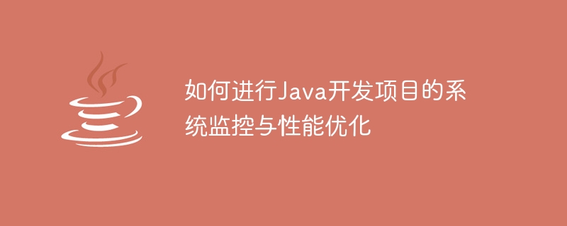 如何進行Java開發專案的系統監控與效能優化