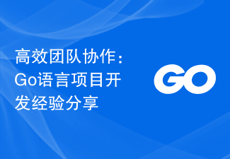 高效团队协作：Go语言项目开发经验分享