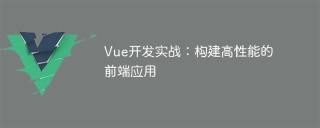 vue开发实战：构建高性能的前端应用
