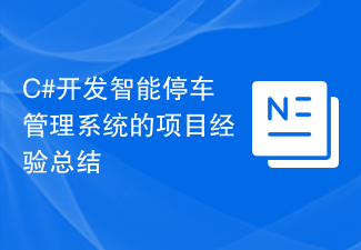 C# でインテリジェントな駐車場管理システムを開発したプロジェクトの経験の概要