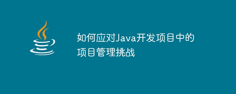 如何应对Java开发项目中的项目管理挑战