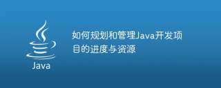 如何规划和管理java开发项目的进度与资源