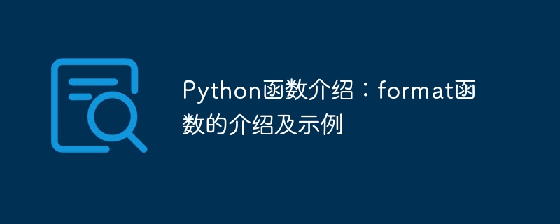 Python函数介绍：format函数的介绍及示例