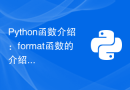 Python函数介绍：format函数的介绍及示例