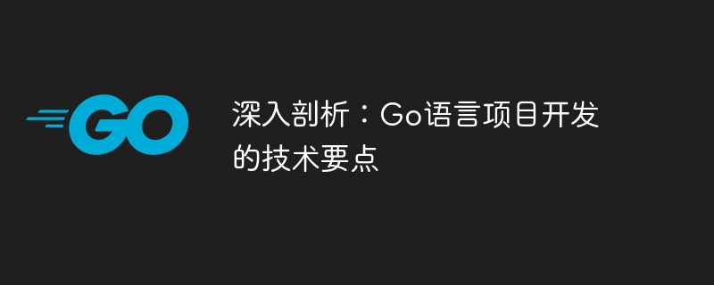 심층 분석: Go 언어 프로젝트 개발의 기술적 포인트