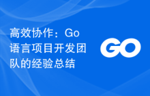 高效协作：Go语言项目开发团队的经验总结