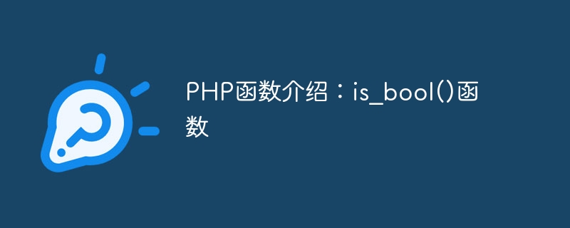 Introduction to PHP functions: is_bool() function