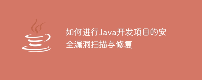 如何进行Java开发项目的安全漏洞扫描与修复