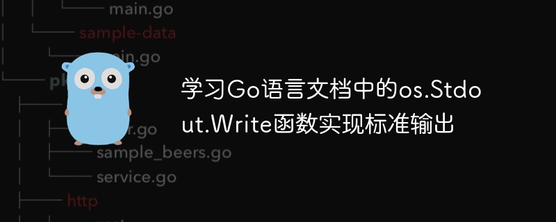 学习Go语言文档中的os.Stdout.Write函数实现标准输出