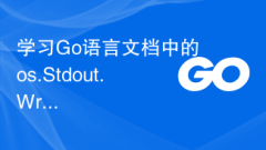 표준 출력 구현을 위해 Go 언어 문서에서 os.Stdout.Write 함수를 알아보세요.