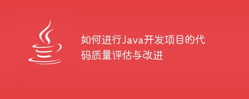 如何进行Java开发项目的代码质量评估与改进