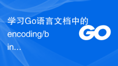 바이너리 데이터를 작성하려면 Go 언어 문서에서 인코딩/binary.Write 함수를 알아보세요.